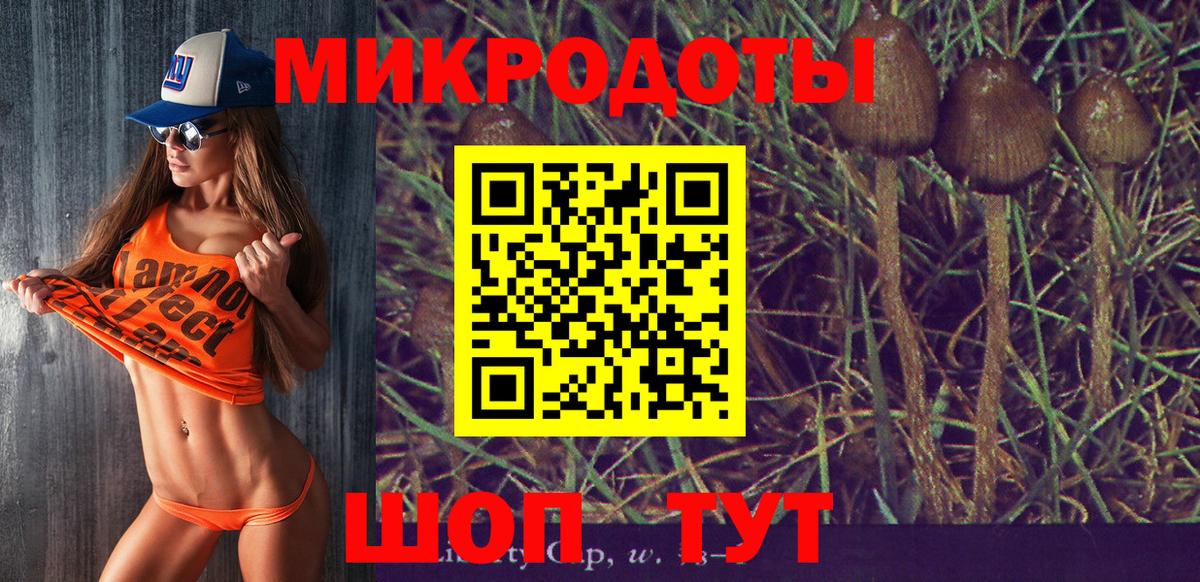 Ноябрьск  Галлюциногенные грибы Cubensis  Вход с VPN 