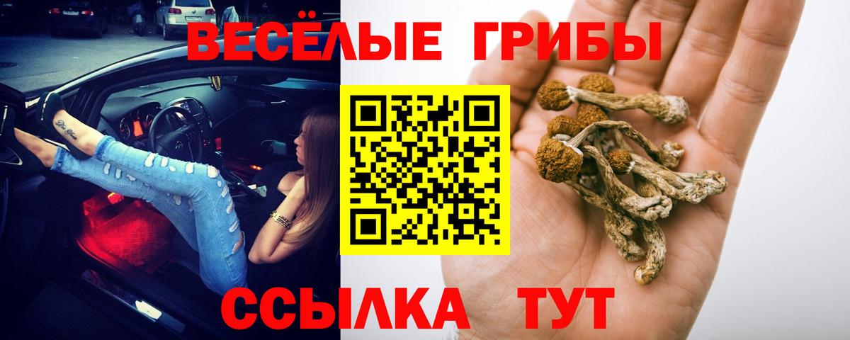 Псилоцибиновые грибы GOLDEN TEACHER Ноябрьск