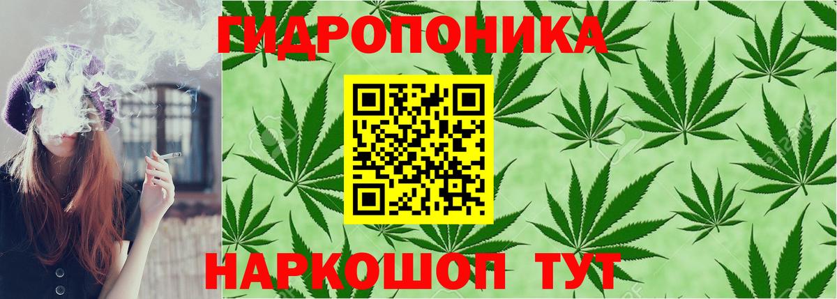 Марихуана Ноябрьск